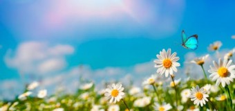 Ένας ιός διαφορετικός από τους άλλους..