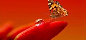 Γίνε ξεχωριστός..