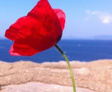 Η Μοναξιά το Πάσχα