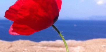 Η Μοναξιά το Πάσχα