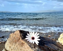 Πολλοί άντρες δεν αποφασίζουν να παντρευτούν