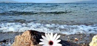 Πολλοί άντρες δεν αποφασίζουν να παντρευτούν