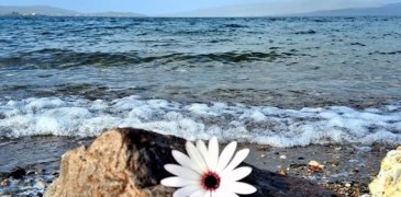 Πολλοί άντρες δεν αποφασίζουν να παντρευτούν
