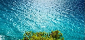 Ένας έρωτας ανθίζει…